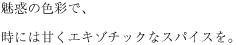 クラフトワイヤー1本で結んだだけのキャンドルアレンジ。お料理で忙しくても生花は欠かせません。手軽なおすすめアレンジメントです。